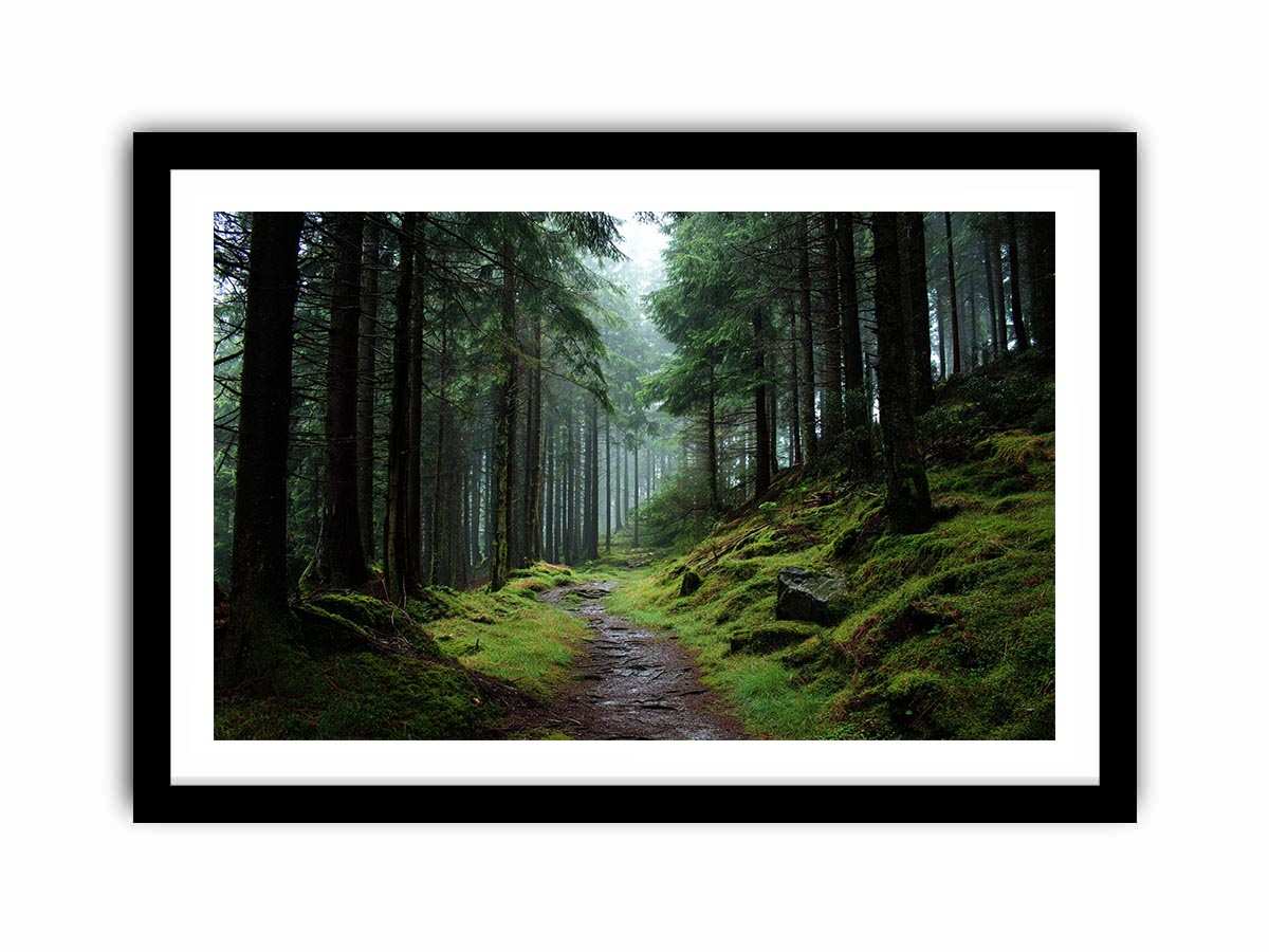 Misty forest path canvas photography for calm green living room decor.