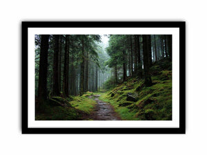 Misty forest path canvas photography for calm green living room decor.