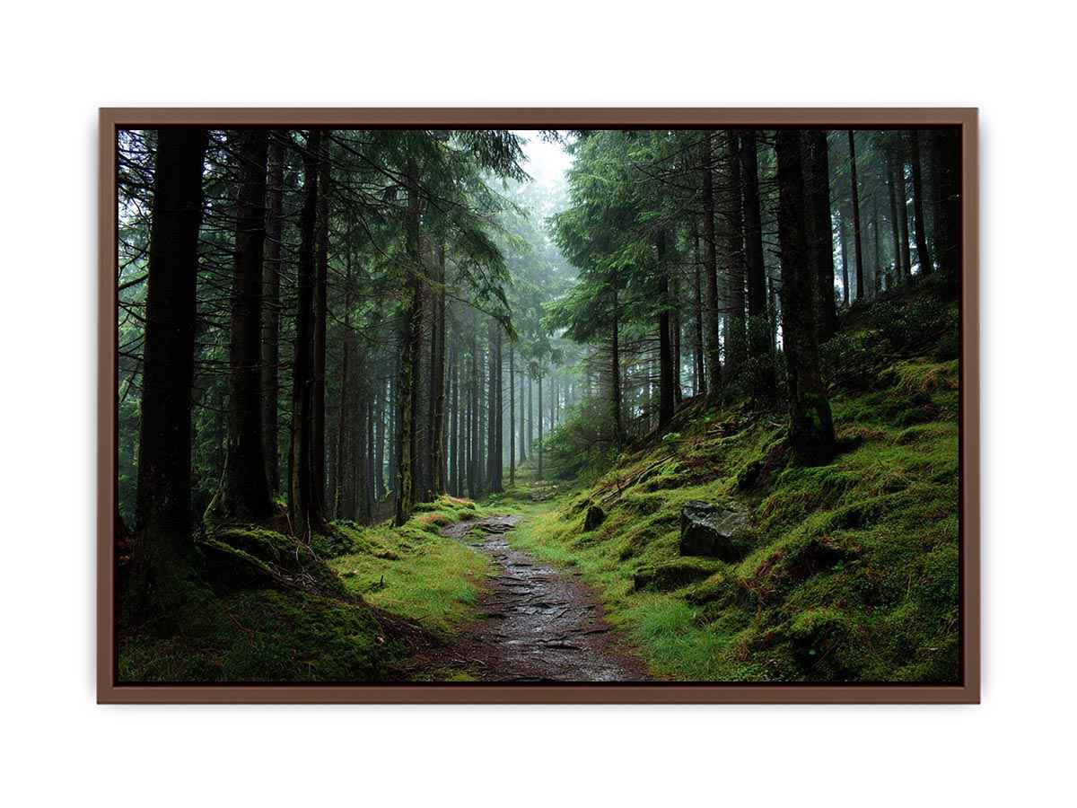 Misty forest path canvas photography for calm green living room decor.