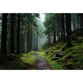 Misty forest path canvas photography for calm green living room decor.