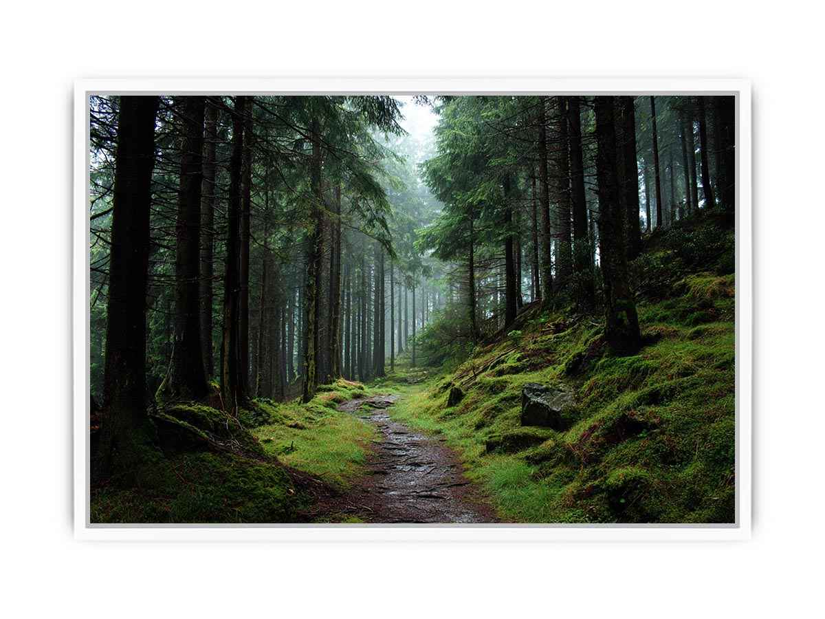 Misty forest path canvas photography for calm green living room decor.