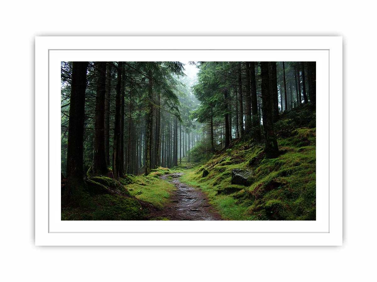 Misty forest path canvas photography for calm green living room decor.