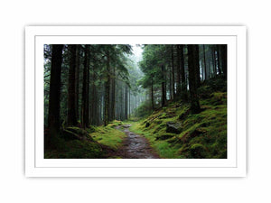 Misty forest path canvas photography for calm green living room decor.