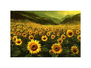 sunflower valley landscape canvas art for a calm modern living room.