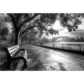 Black and white Sydney harbour   photography for office wall decor.