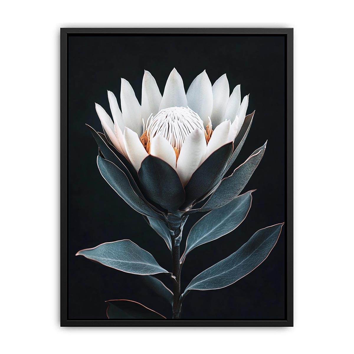 White protea flower artwork with minimalist botanical style for elegant bedroom decor