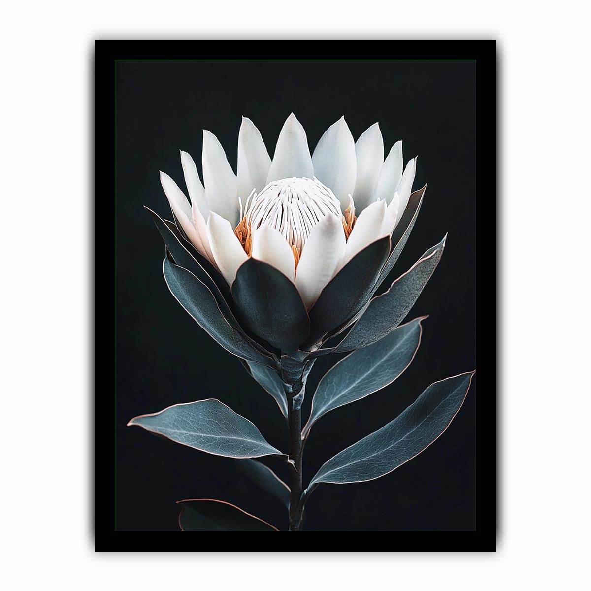 White protea flower artwork with minimalist botanical style for elegant bedroom decor