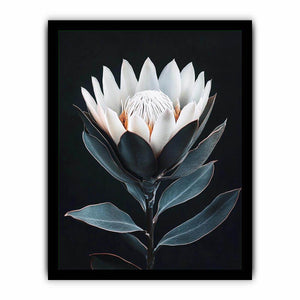 White protea flower artwork with minimalist botanical style for elegant bedroom decor