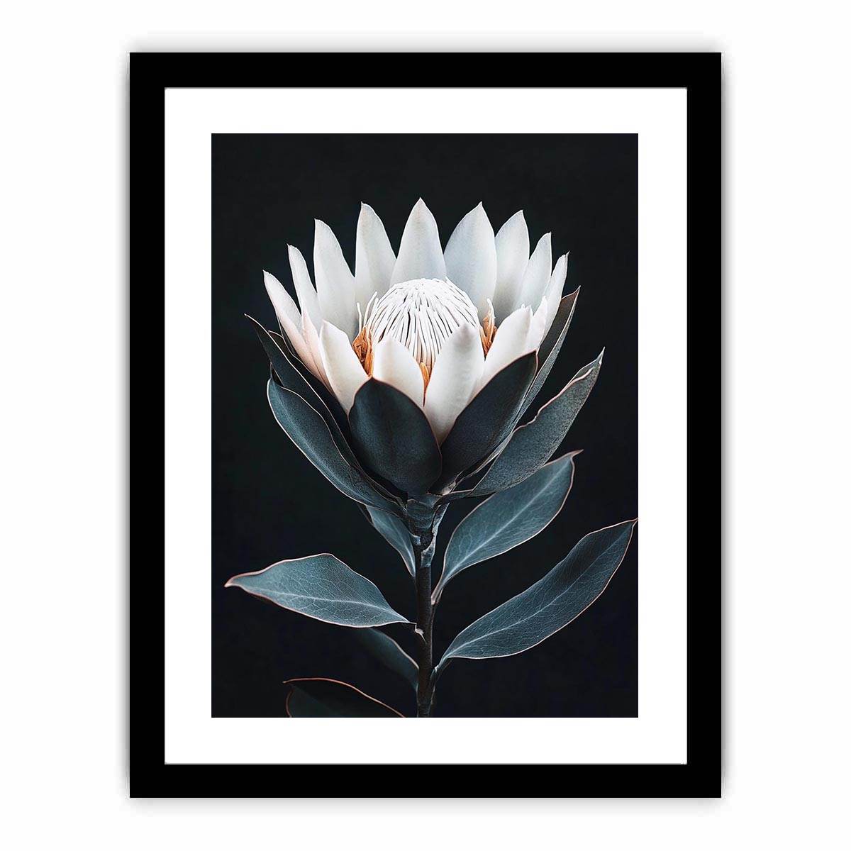 White protea flower artwork with minimalist botanical style for elegant bedroom decor