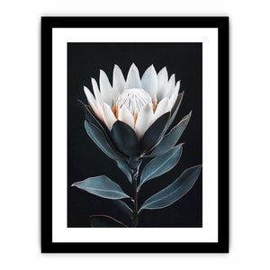 White protea flower artwork with minimalist botanical style for elegant bedroom decor