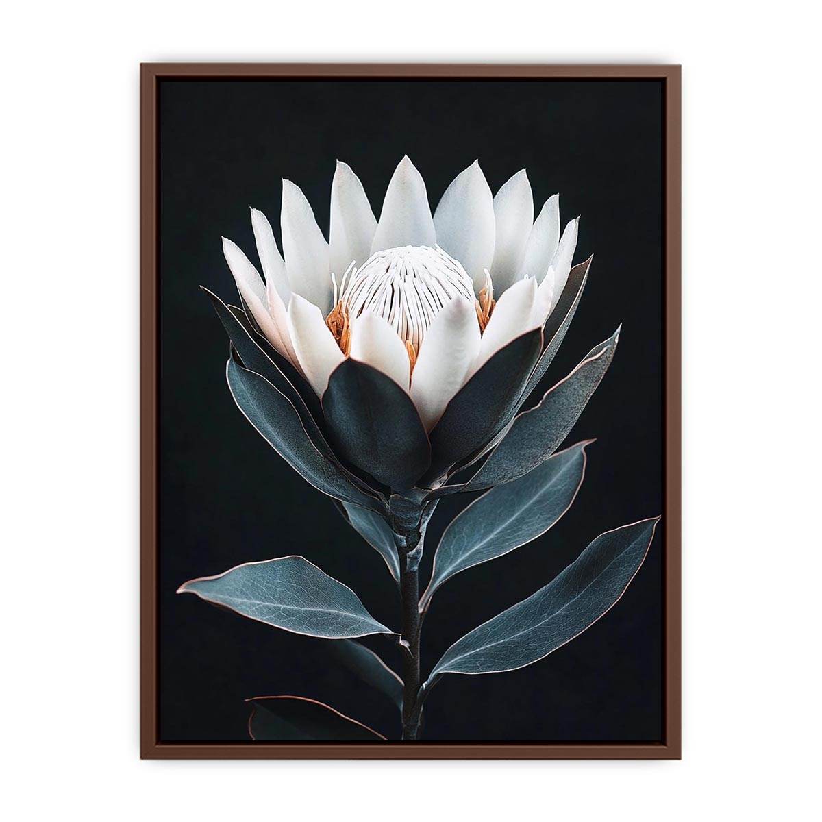 White protea flower artwork with minimalist botanical style for elegant bedroom decor
