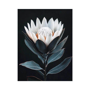 White protea flower artwork with minimalist botanical style for elegant bedroom decor