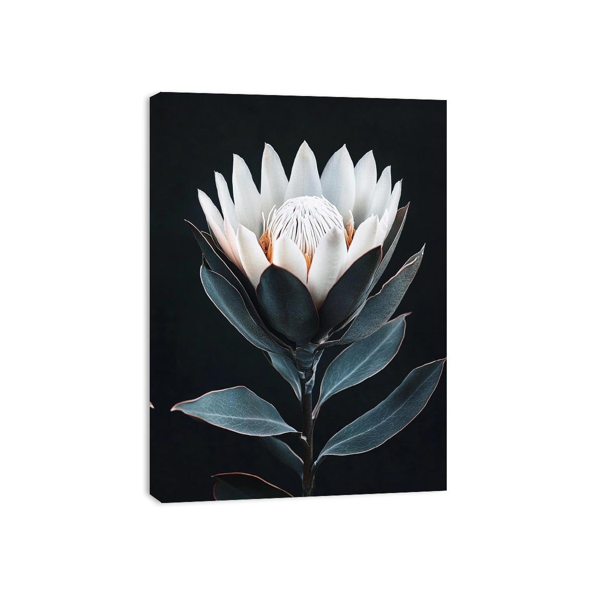 White protea flower artwork with minimalist botanical style for elegant bedroom decor