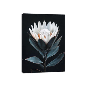 White protea flower artwork with minimalist botanical style for elegant bedroom decor