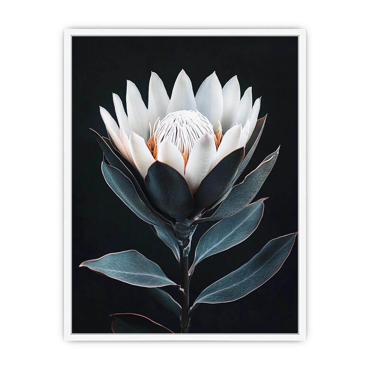 White protea flower artwork with minimalist botanical style for elegant bedroom decor
