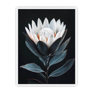 White protea flower artwork with minimalist botanical style for elegant bedroom decor