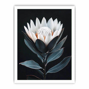 White protea flower artwork with minimalist botanical style for elegant bedroom decor