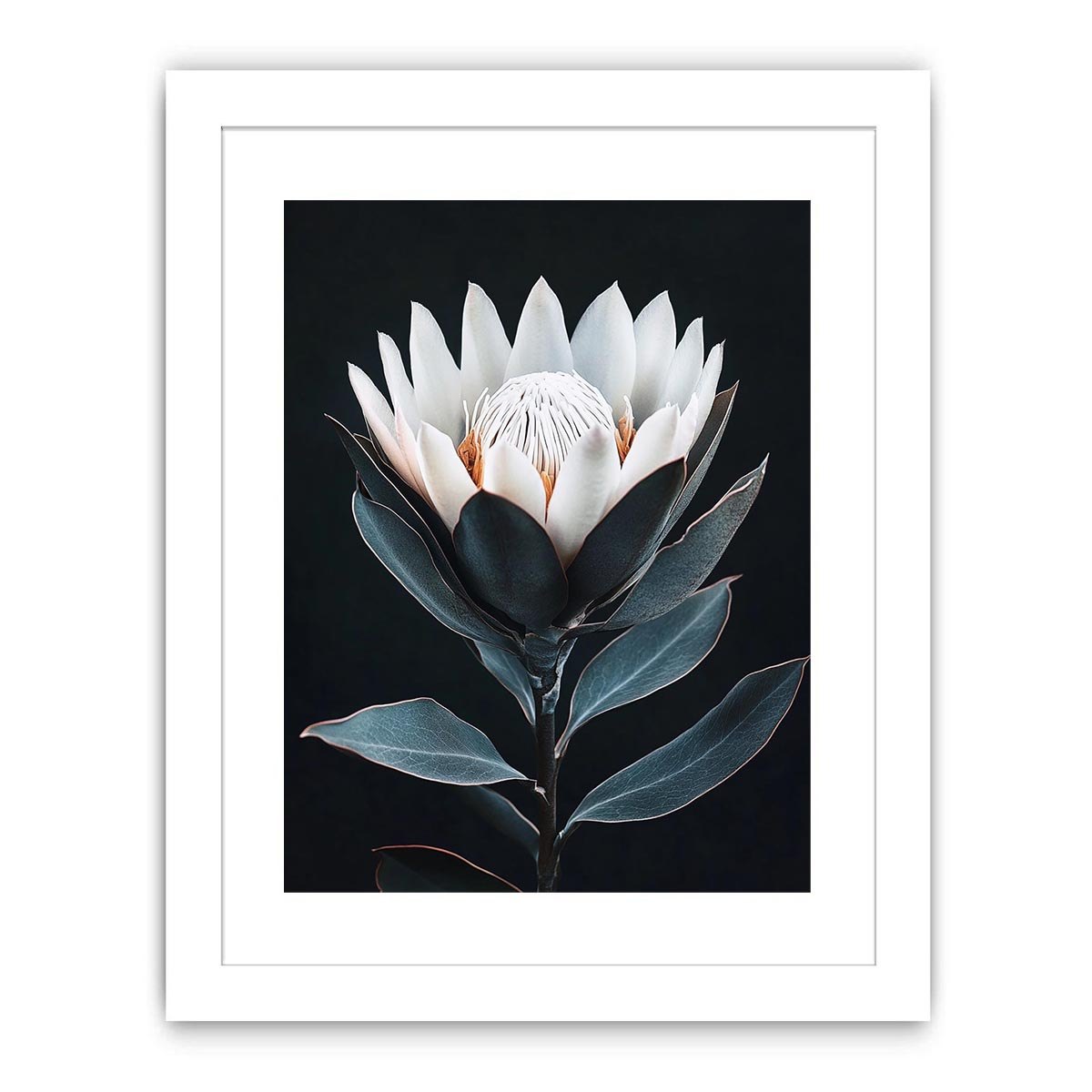 White protea flower artwork with minimalist botanical style for elegant bedroom decor