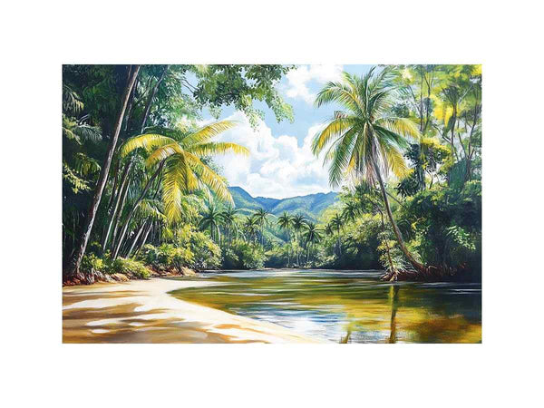 River In Daintree Rainforest