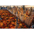 new york city skyline with central park autumn colors aerial view wall art