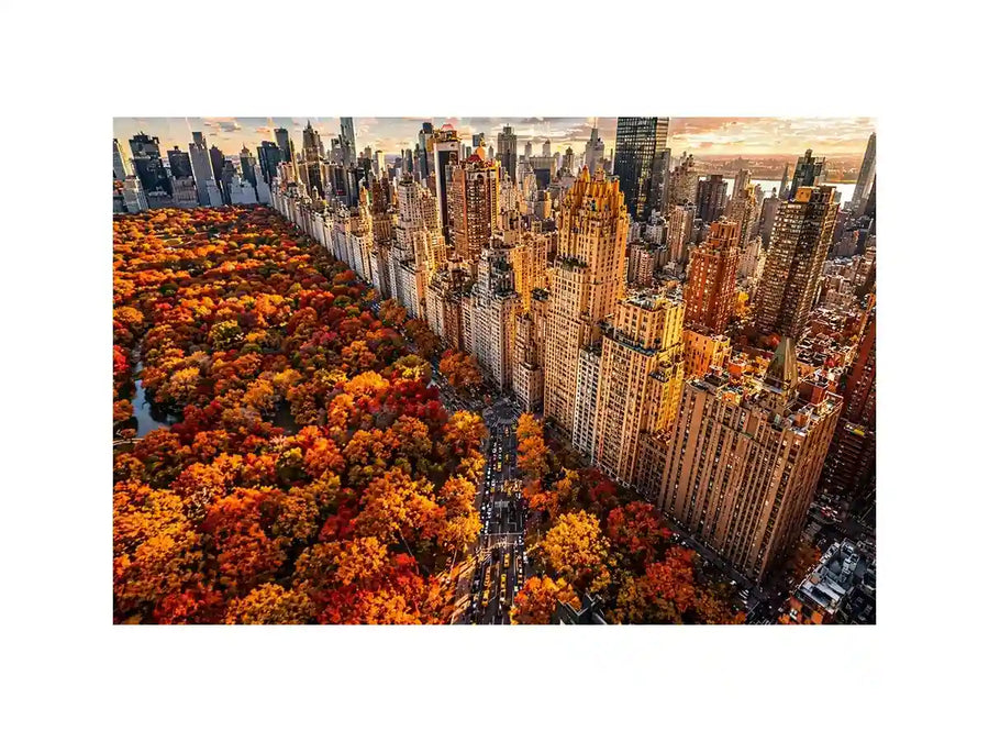 new york city skyline with central park autumn colors aerial view wall art