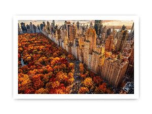 new york city skyline with central park autumn colors aerial view wall art