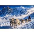 husky sled snow mountain wall art, winter dog sled landscape canvas, arctic adventure photography wall art, snowy mountain husky artwork