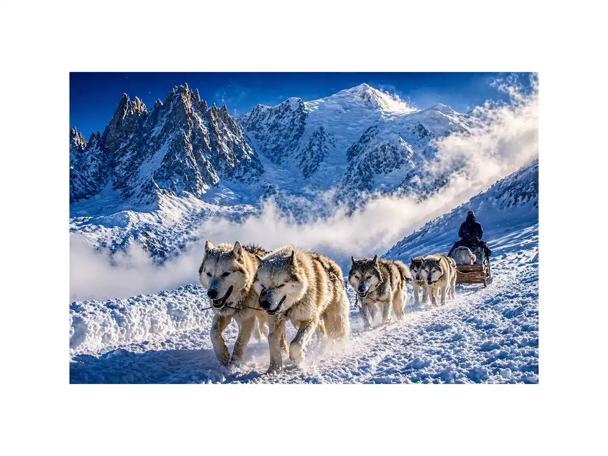 husky sled snow mountain wall art, winter dog sled landscape canvas, arctic adventure photography wall art, snowy mountain husky artwork