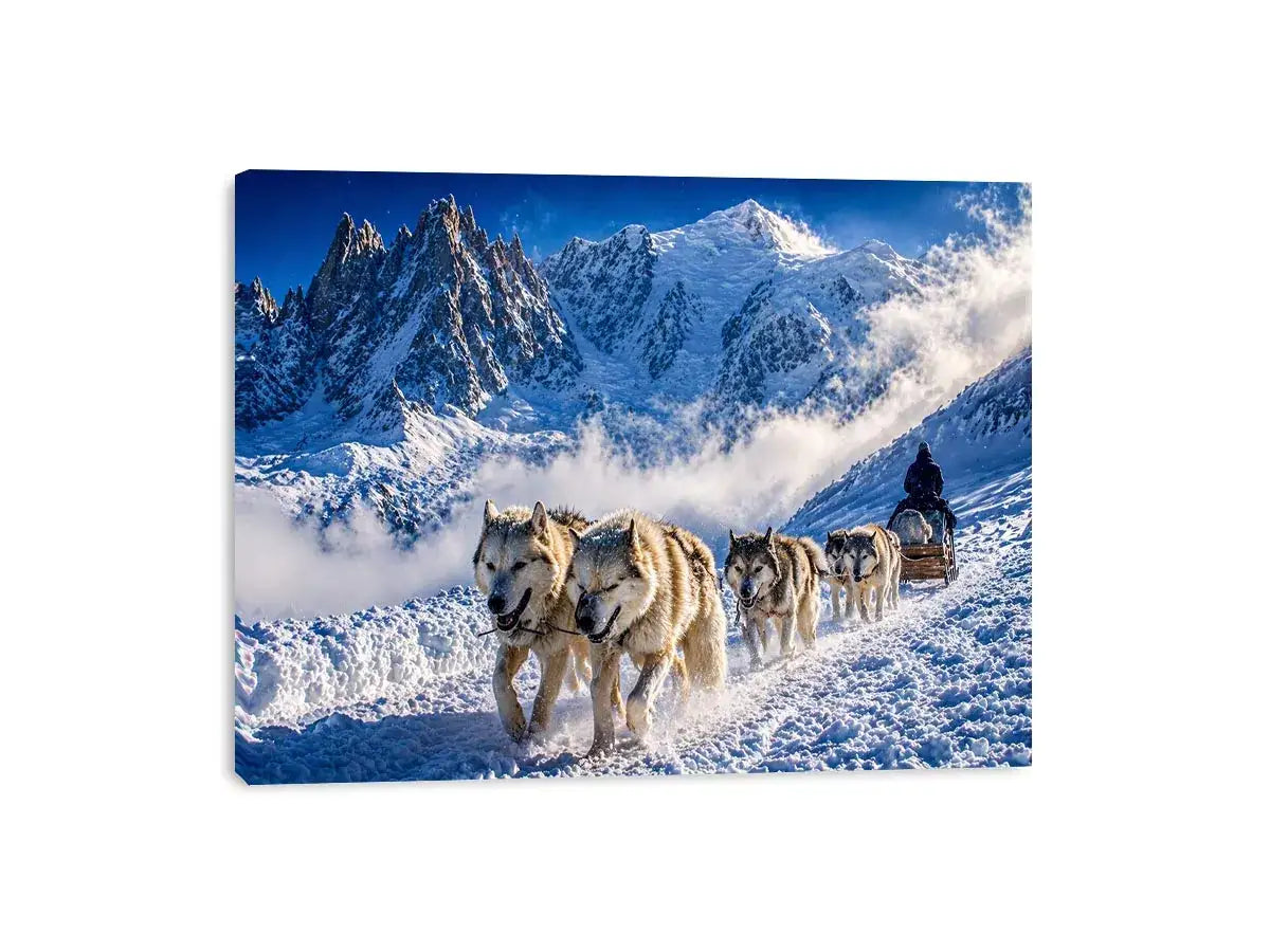 husky sled snow mountain wall art, winter dog sled landscape canvas, arctic adventure photography wall art, snowy mountain husky artwork