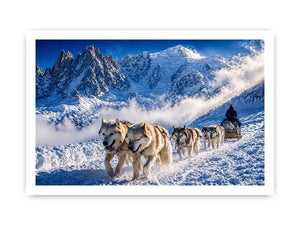 husky sled snow mountain wall art, winter dog sled landscape canvas, arctic adventure photography wall art, snowy mountain husky artwork
