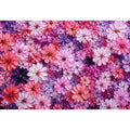 Abstract pink and purple floral blossoms textured painting pattern soft pastel flower wall art