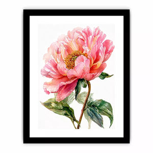 Soft pink peony watercolor botanical illustration with green leaves minimal floral wall art
