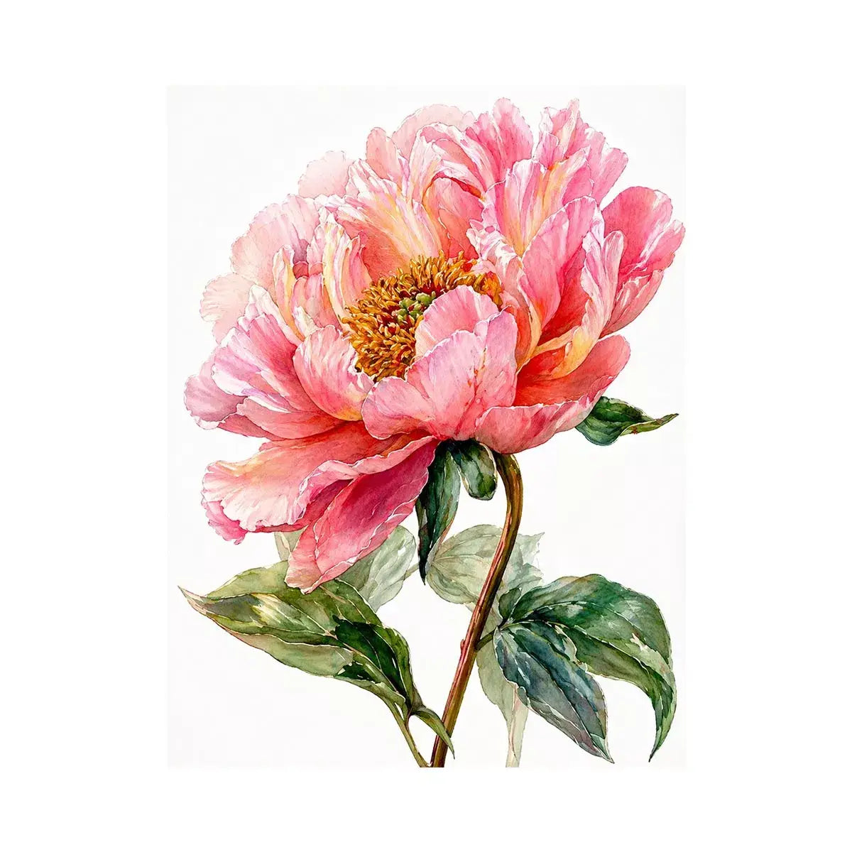 Soft pink peony watercolor botanical illustration with green leaves minimal floral wall art