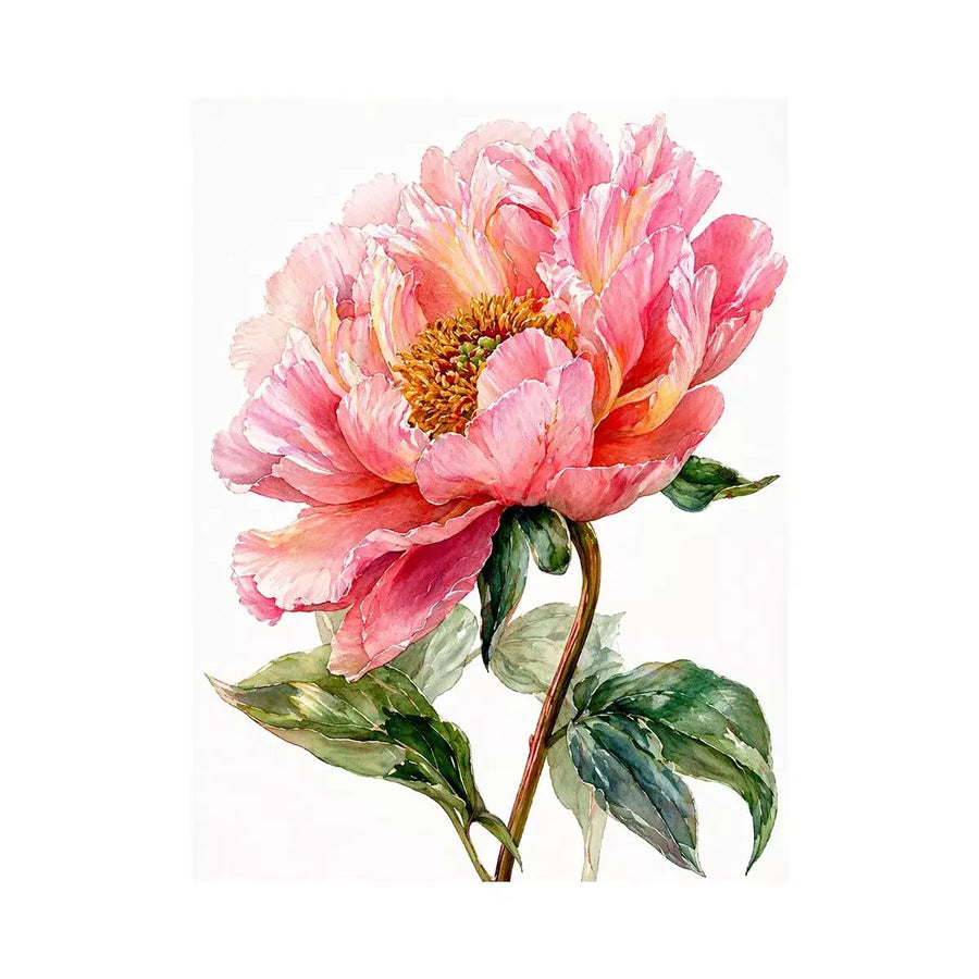 Soft pink peony watercolor botanical illustration with green leaves minimal floral wall art