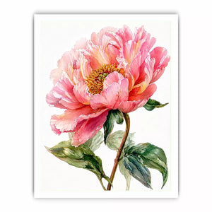 Soft pink peony watercolor botanical illustration with green leaves minimal floral wall art