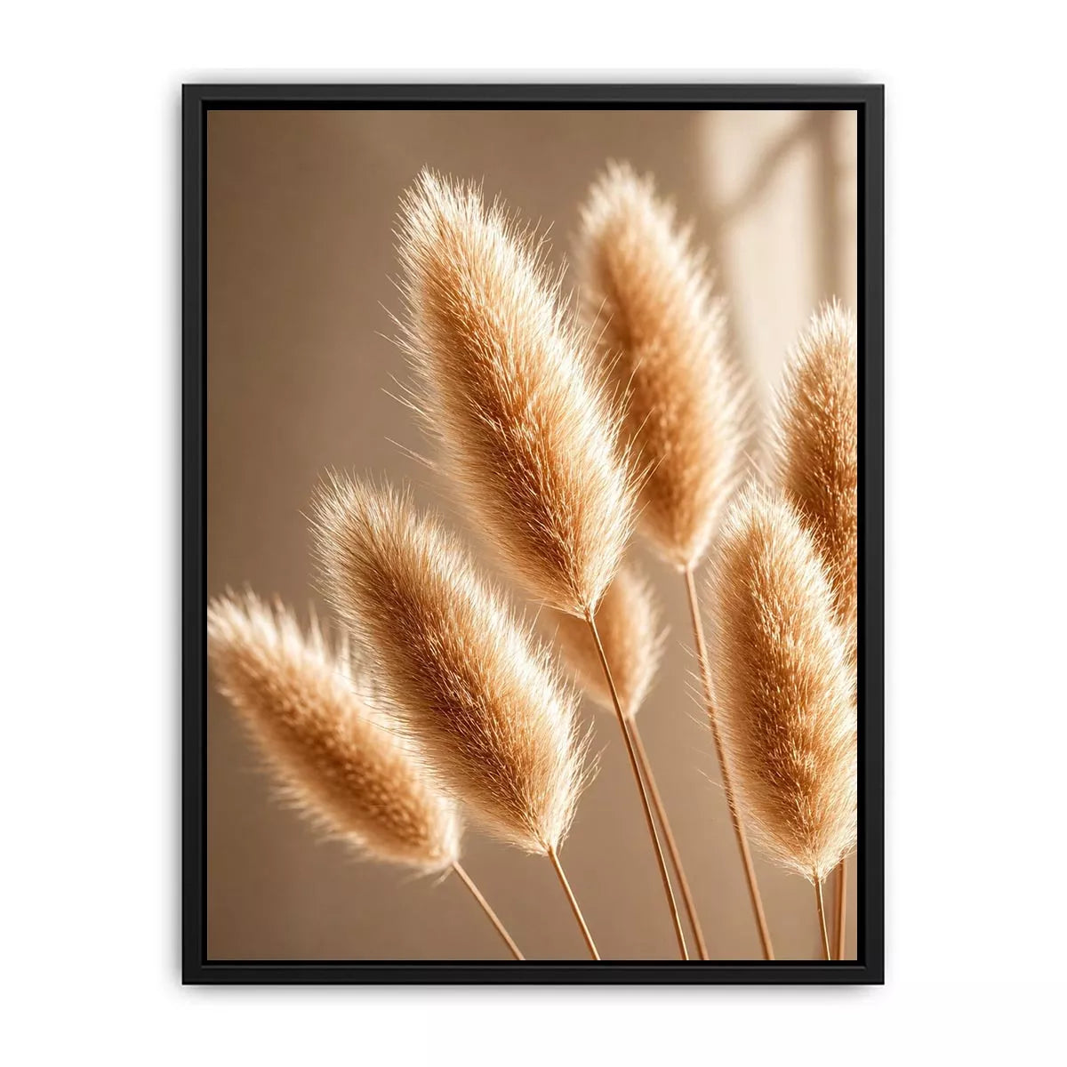 Minimal pampas grass in warm neutral tones soft beige botanical wall art photography