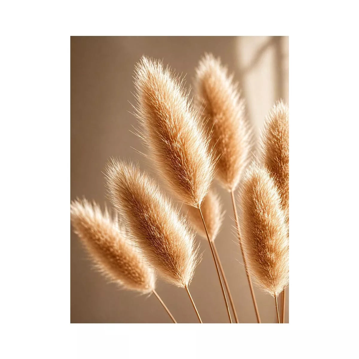 Minimal pampas grass in warm neutral tones soft beige botanical wall art photography