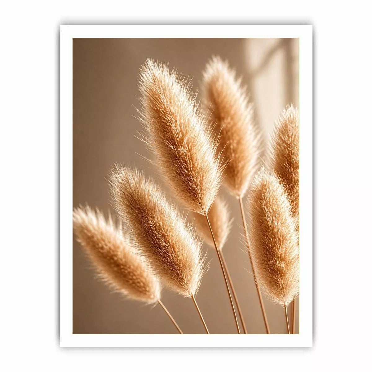 Minimal pampas grass in warm neutral tones soft beige botanical wall art photography