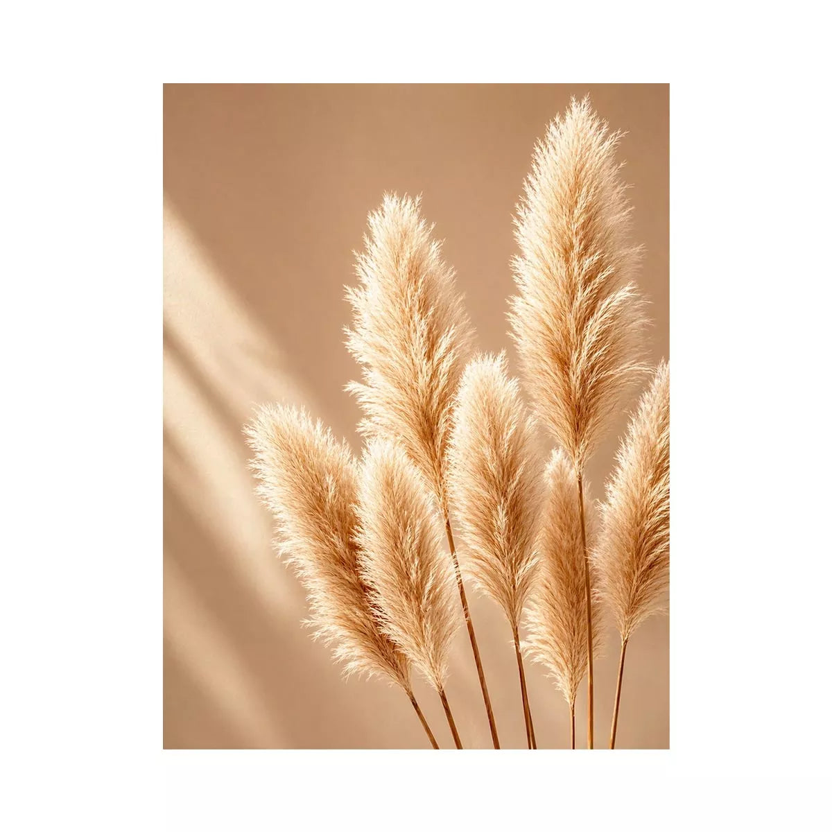 Minimal beige pampas grass wall art soft neutral botanical photography aesthetic decor