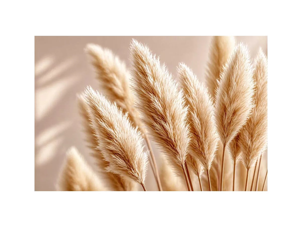 Soft beige pampas grass wall art airy minimal botanical photography neutral decor