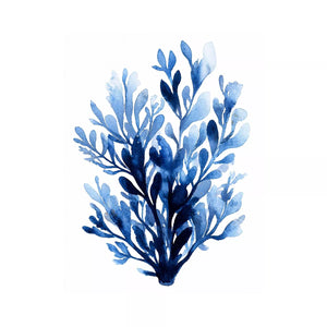 Blue watercolor botanical leaves abstract minimal wall art elegant indigo plant illustration