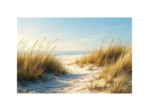 coastal dunes beach path landscape wall art soft neutral ocean canvas decor