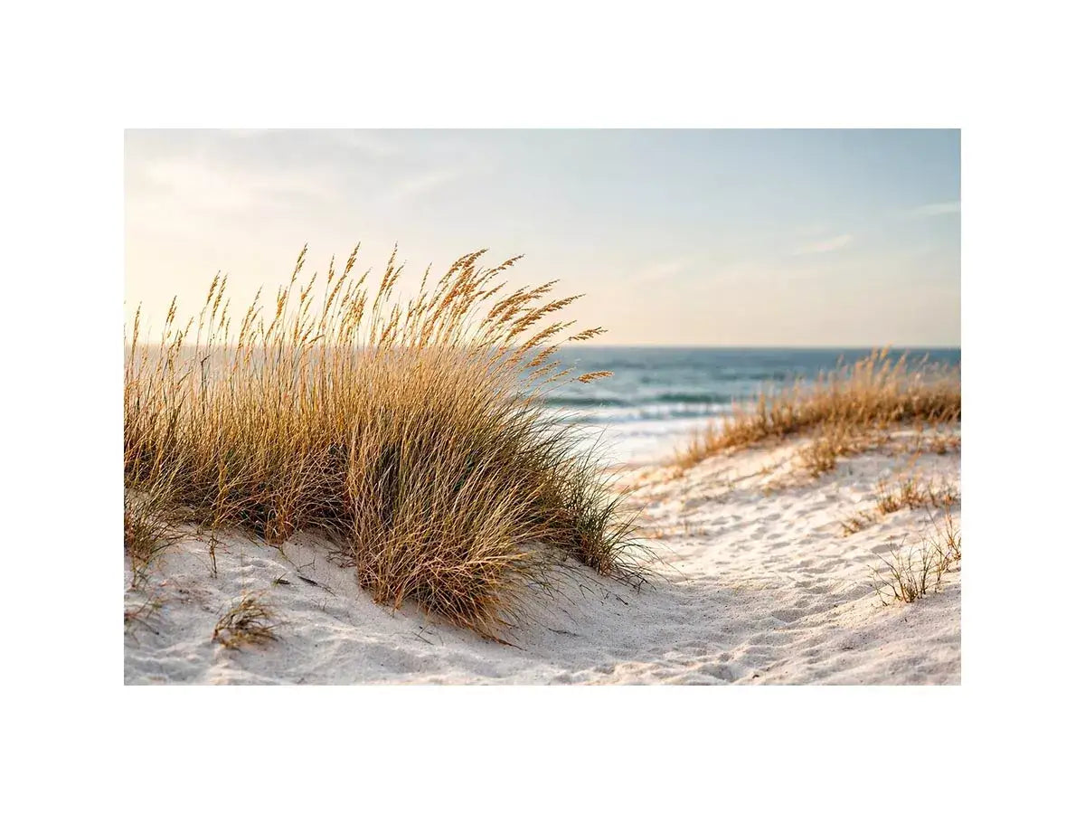 Golden Dune Serenity