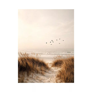 minimal coastal birds beach dunes neutral wall art calm ocean canvas decor