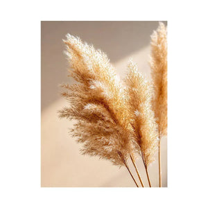 warm minimal pampas grass neutral wall art soft beige botanical canvas