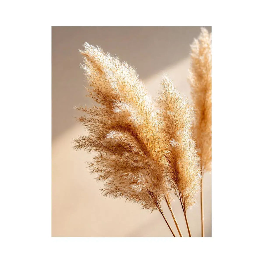 warm minimal pampas grass neutral wall art soft beige botanical canvas