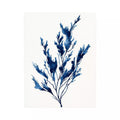 minimal blue botanical watercolor leaf modern neutral wall art canvas