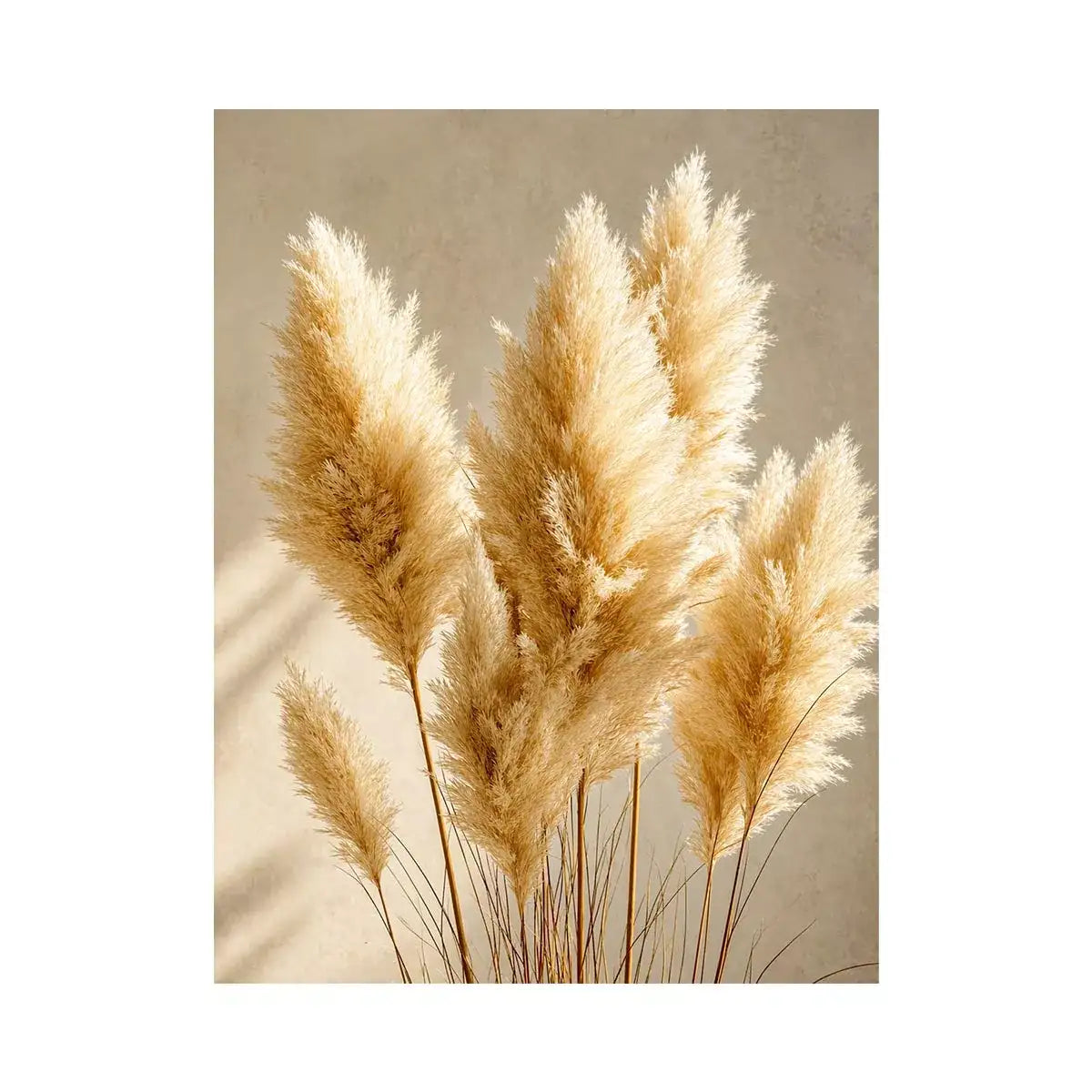 pampas grass wall art neutral decor, minimalist boho pampas canvas, beige botanical wall art print, soft pampas grass photography decor, neutral aesthetic plant artwork