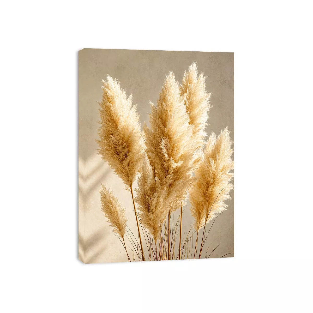 pampas grass wall art neutral decor, minimalist boho pampas canvas, beige botanical wall art print, soft pampas grass photography decor, neutral aesthetic plant artwork