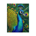 peacock close up wall art colorful feathers, vibrant bird painting canvas print, detailed peacock feather artwork modern decor, luxury peacock illustration